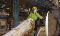 Puunkäsittely meni uusiksi Imatralla. Tainionkosken kuorimo lopetettiin ja puunkäsittely keskitettiin Kaukopäähän. Iso investointi tuo uskoa tulevaan.