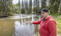 Lohikannan virkoaminen ennallistetussa Hiitolanjoessa saa raavaan kalamiehenkin herkistymään. Sami Huikko myös jeesaa lohien kutua möyhimällä ja ilmaamalla soraikkoja.