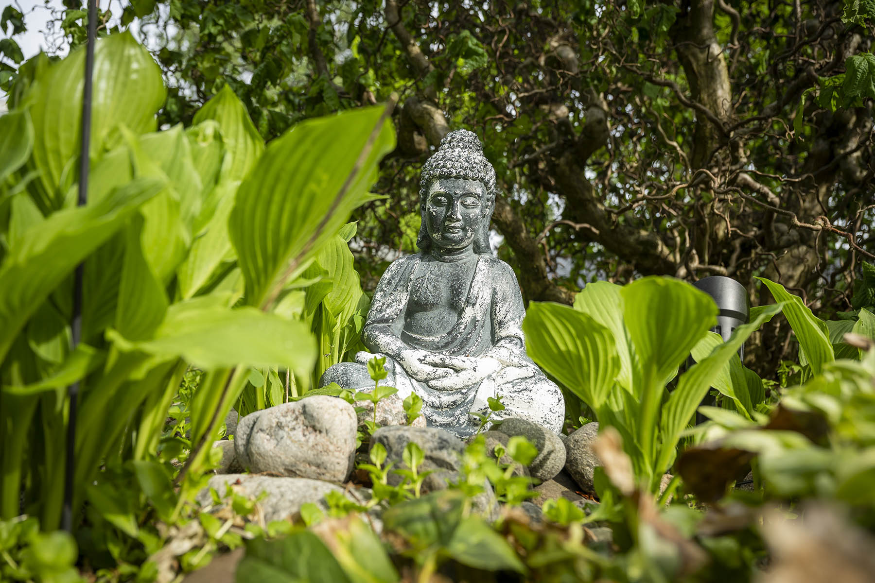 Piia Lahtinen kertoo huomanneensa, että kasvit voivat paremmin, kun niiden kastelu­vesi ei ole aivan kraana- tai kaivo­kylmää. Hän lämmittää vedet seisottamalla niitä kastelukannuissa. Maitokärryillä niitä on helppo kuljettaa.
Lontoolainen hevoskastanja kukkii prinsessa Dianan muistolle.
Tämä metallinen mannekiini saa kesän mittaan elävän kukkamekon maahumalasta.
Haketta menee runsaasti.
Revontuli­atsalea  kukkii tänä vuonna tavallista myöhempään.
Buddha mietiskelee Piia Lahtisen puutarhan itämaisessa osassa.
Piia Lahtisen yllä kiemurtelee viinirypäle, joka tuottaa vuosittain monta ämpärillistä herkullista satoa.
Koko Lahtisen perhe odottaa ensimmäisiä ahomansikoita.
Köynnöshortensia kiipeää pitkin siirtolohkaretta niin tiiviinä, että se näyttää suurelta pensaalta. Puutarhakoira Iitu on mukana työn touhussa.