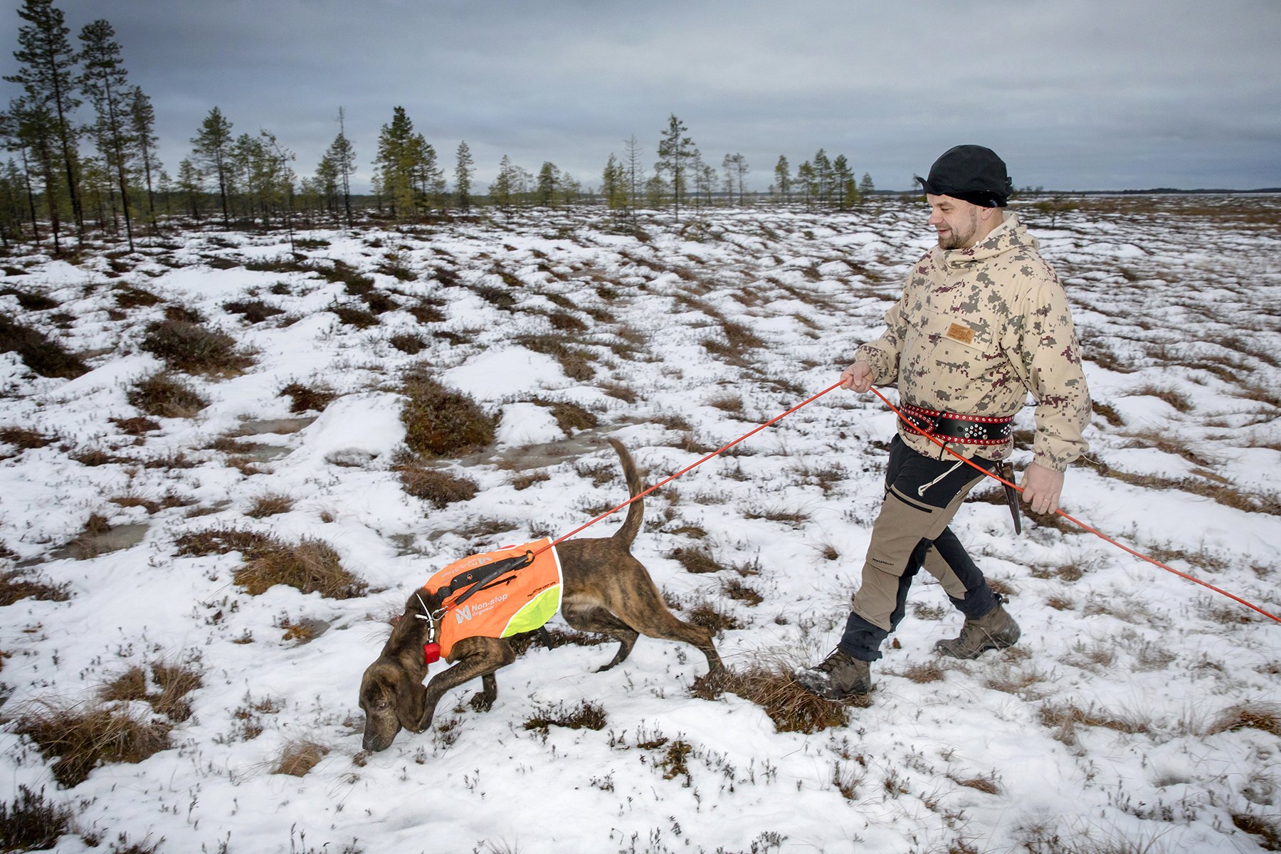 Janne Jäärni ja plottin­ajokoira Rymy huolehtivat yhteistyössä isännän kellon kääntämisestä: metsään eikä päiväunille ennen ensimmäistä yövuoroa, ja viimeisen yön jälkeen usein suoraan metsälle ilman unia.       