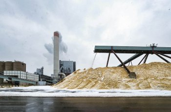 Tutkimus ennakoi, että suomalainen sellu käy tulevaisuudessa kaupaksi niin paljon kuin sitä pystytään tekemään, mutta puusta voi tulla pula.